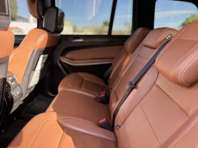 Mercedes Benz Clase GLS VUD 2019